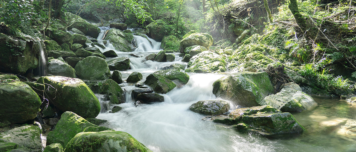 フレシャス最悪という口コミは本当?契約前に知っておくべきデメリットとは?